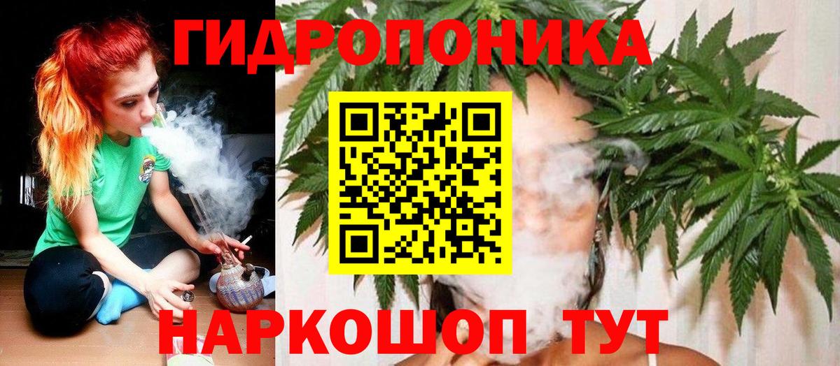 Бошки марихуана сатива Нягань